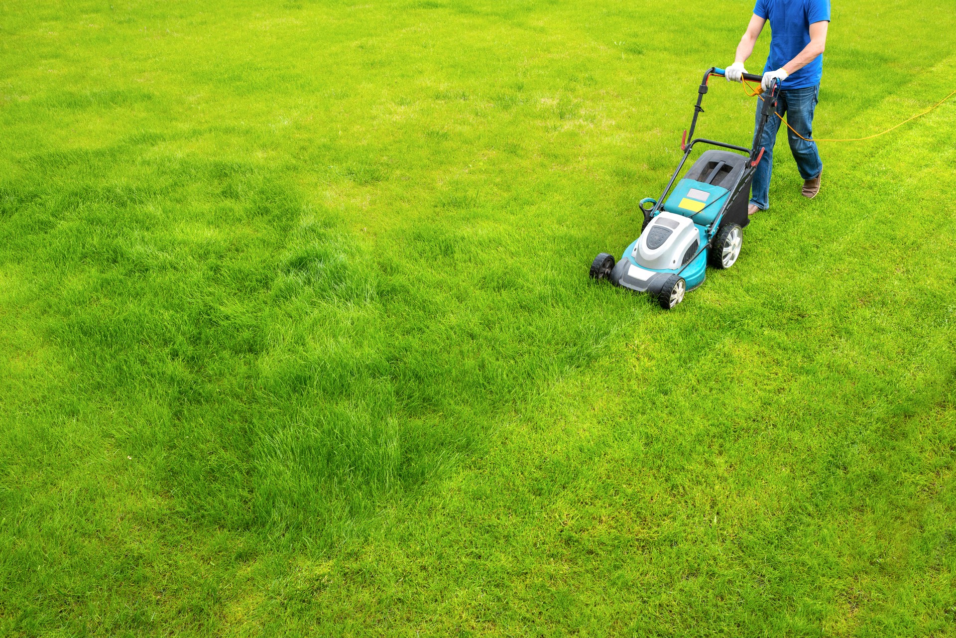 A lawn mower is cutting green grass, the gardener with a lawn mower is working in the backyard, a side view.