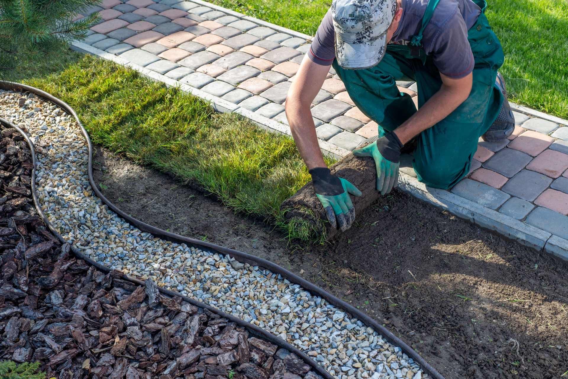 Gardener applying turf rolls in the backyard